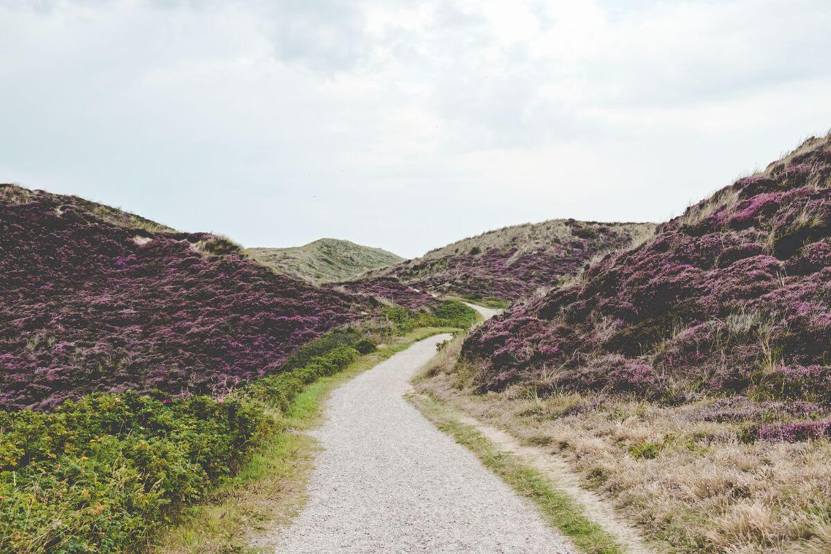 Winding path through a peaceful valley landscape, representing God's guidance through difficult seasons