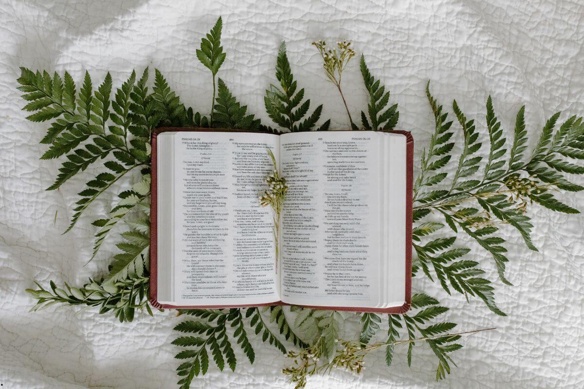 Open Bible surrounded by green ferns on a white quilt, symbolizing renewal, hope, and Bible verses to help you trust God again.