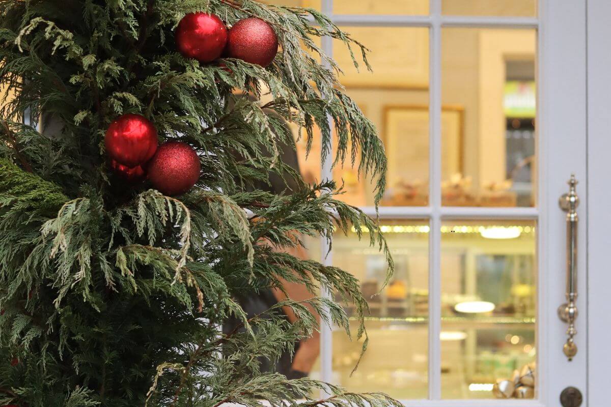A green pine tree beside a closed white glass door decorated with red Christmas balls.